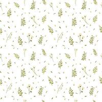 Botanical seamless pattern hand drawn. White background with delicate flowers and leaves. vector