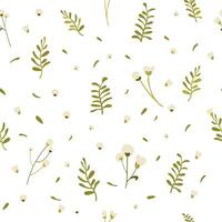 Botanical seamless pattern hand drawn. White background with delicate flowers and leaves. vector