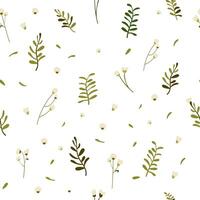 Botanical seamless pattern hand drawn. White background with delicate flowers and leaves. vector