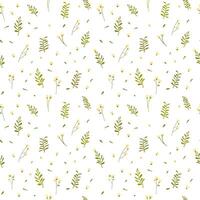 Botanical seamless pattern hand drawn. White background with delicate flowers and leaves. vector