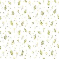 Botanical seamless pattern hand drawn. White background with delicate flowers and leaves. vector