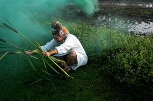 Cheerful young  woman with reeds dances in colored smoke in a field photo