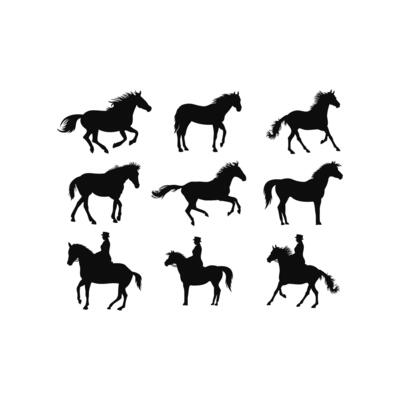 Set horse black logo vector, icon, symbol, illustration design template. Isolated on white background.