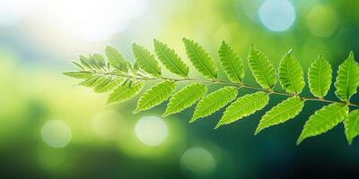 AI Generated Fresh Green Fern Leaves Backlit By The Sun. Natural Background. Generative AI photo