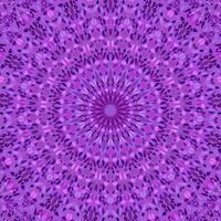 Geometrical oriental gemstone ornament pattern mandala background design - colorful hypnotic abstract vector art from petals