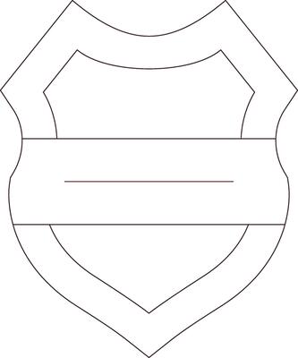 Shield Creative Icon Design