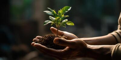 ai generado de cerca de humano manos participación planta con suelo en oscuro antecedentes. crecimiento y ambiental cuidado concepto. generativo ai foto