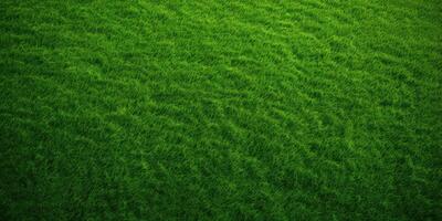 AI Generated Green Grass Texture. Top View Carpet or Lawn. Baseball, Soccer, Football or Golf Game. Generative AI photo