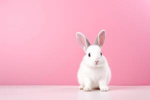 AI generated White fluffy rabbit on pink background photo