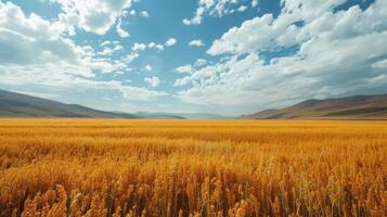 AI generated Quinoa plantation photo