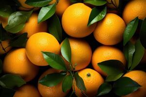 AI generated Solid background filled with juicy oranges photo