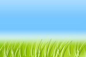 Abstract spring or summer vector background. Vector illustration. Blue sky and grass. Empty