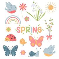 primavera colocar. flores y aves, insectos plano vector ilustración.