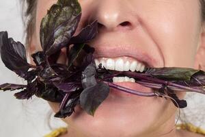 el mujer, cuyo cara es no visible, sostiene un albahaca rama en su boca. comer verduras foto