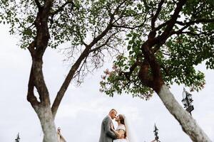 foto de un Boda Pareja mirando cada otro en el ojos en naturaleza. el novia y novio Mira cada otro en el medio de naturaleza. sensibilidad y amor en el ojos.