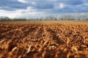 Plowed land before winter. Agricultural grounds. Agriculture. photo