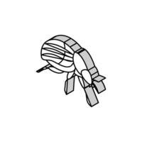 colorado beetle isometric icon vector illustration