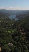 vertical vídeo do lindo natureza a partir de Portugal. natureza parque do geres video