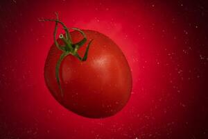 Red tomato with water drops on a red background. Tomato isolated on red background photo