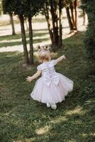 Portrait of a beautiful little princess girl in a pink dress. Staging in a park on green grass. Playful and happy child. photo