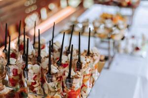 meat salads on the buffet table. open-air buffet table, sandwiches on skewers before the start of the holiday. photo