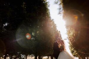 un hermoso novio abraza su novia en un lozano blanco vestir y sonrisas en un hermosa al aire libre ajuste. debajo el abierto cielo. alto calidad foto. un recién casado Pareja poses juntos en un soleado verano día. foto