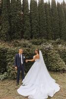 Close-up photo of a wedding couple looking each other in the eyes in nature. The bride and groom look each other in the middle of nature. Tenderness and love in the eyes.