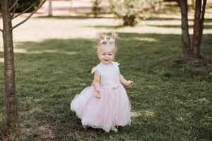 Portrait of a beautiful little princess girl in a pink dress. Staging in a park on green grass. Playful and happy child. photo