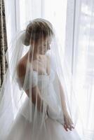 Beautiful young bride holding veil in white wedding dress, portrait of brunette bride in hotel room, morning before wedding. photo