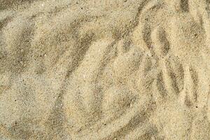 Abstract beach sand texture background photo