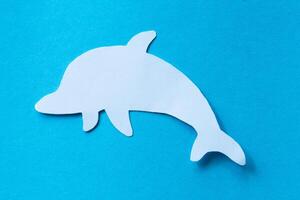 dolphin isolated cut out paper photo