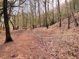 una vista de la campiña de cheshire en peckforton foto