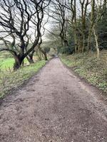 una vista de la campiña de cheshire en peckforton foto