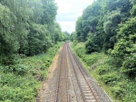 Railway tracks in the forest photo