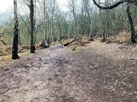 A view of the Cheshire Countryside at Peckforton photo