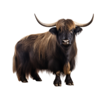 AI generated Yak clip art png