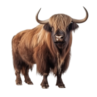 AI generated Yak clip art png