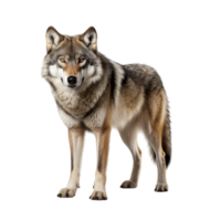 ai gegenereerd wolf klem kunst png