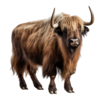 AI generated Yak clip art png