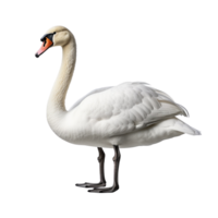 ai generado cisne acortar Arte png