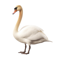 ai gerado cisne grampo arte png