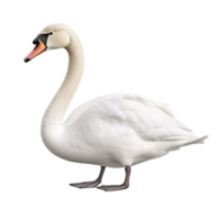 ai gerado cisne grampo arte png