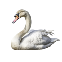 AI generated Swan clip art png