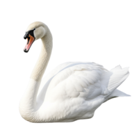 ai gerado cisne grampo arte png