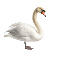 ai gerado cisne grampo arte png