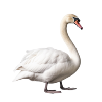 ai gerado cisne grampo arte png