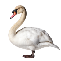 ai gerado cisne grampo arte png