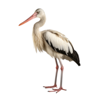 ai genererad stork klämma konst png