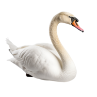 ai generado cisne acortar Arte png