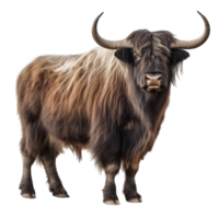 AI generated Yak clip art png